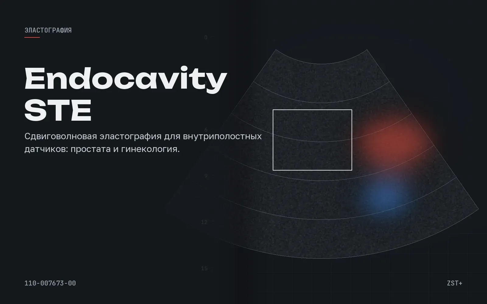Endocavity STE